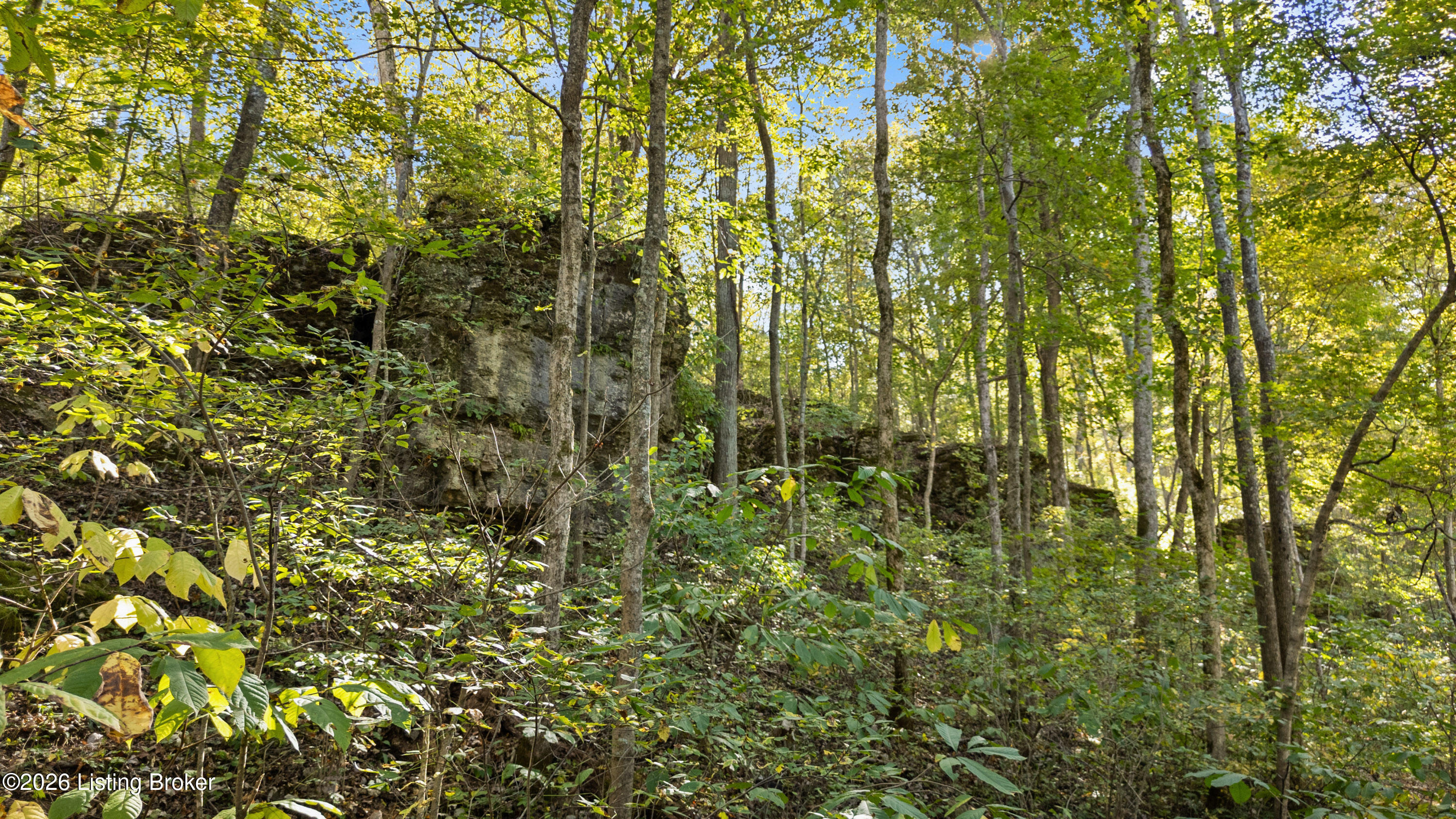 1193 Castlerock Dr Property Photo 62