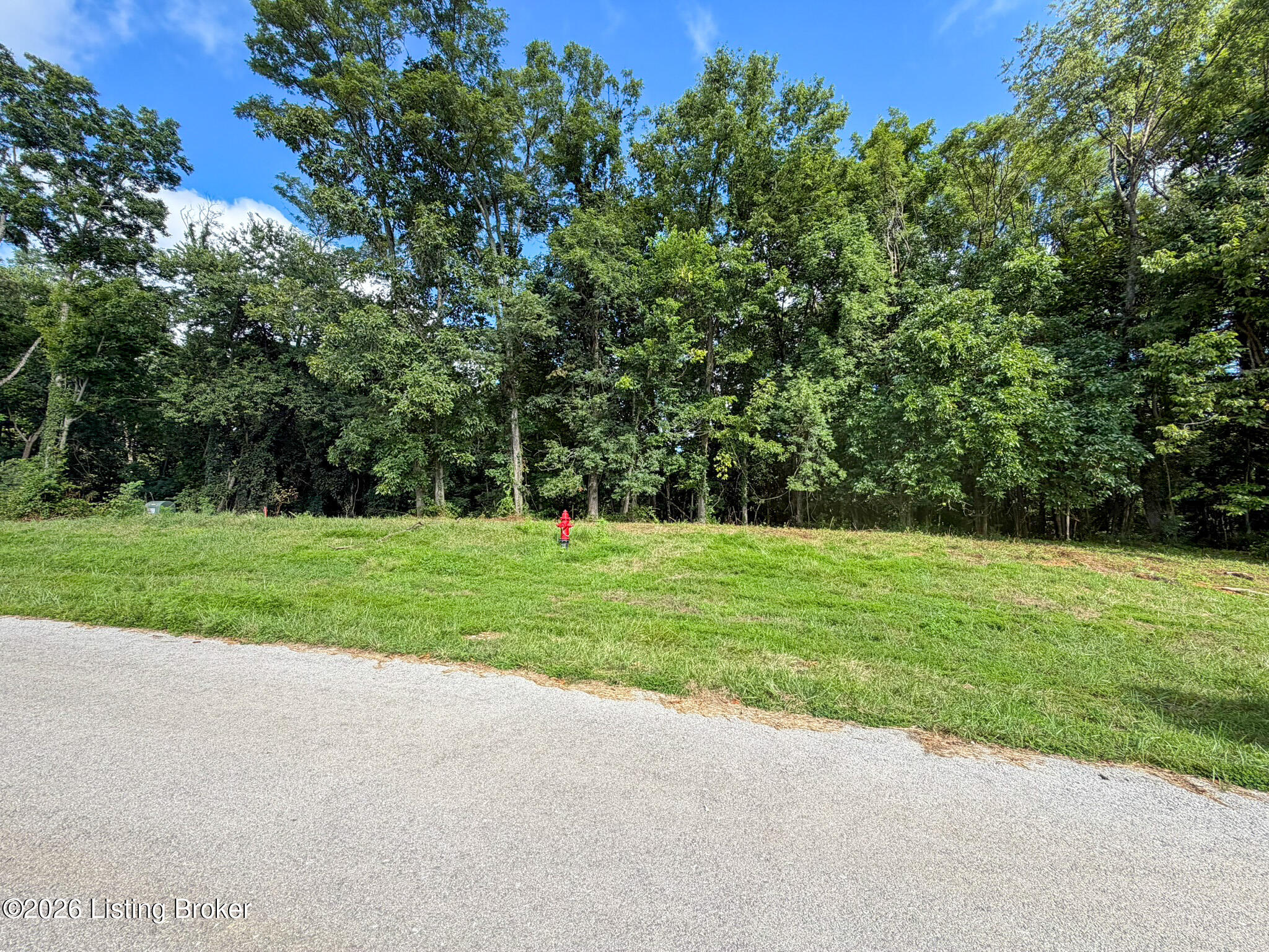46 Boots Ct Property Photo 1