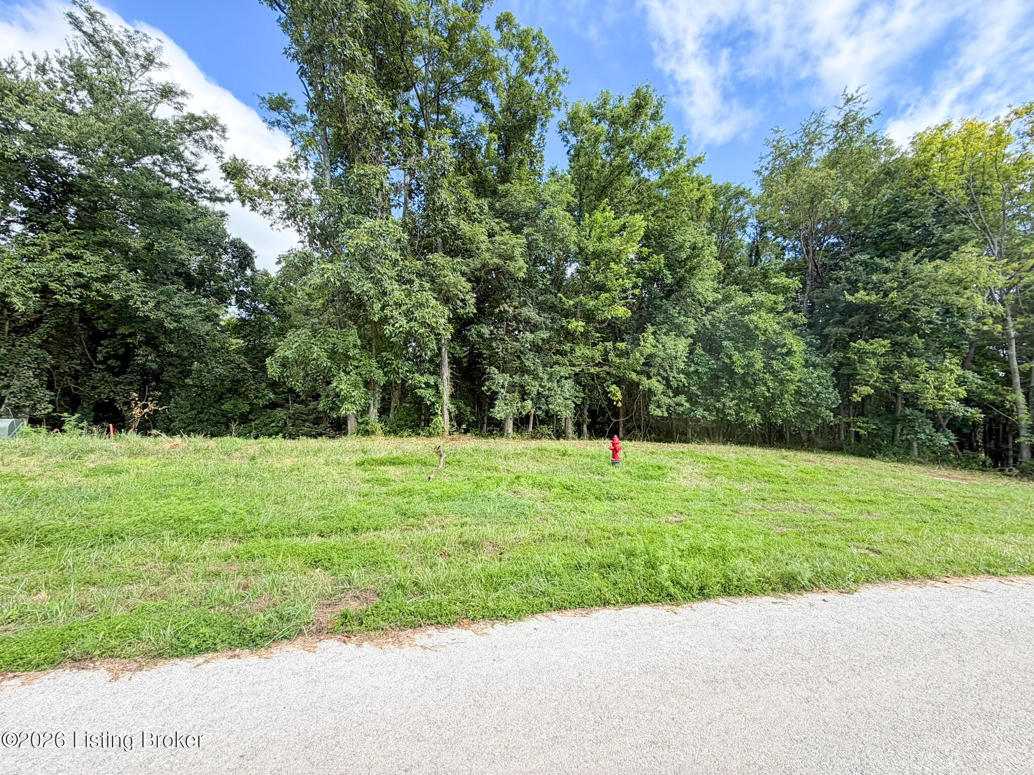 46 Boots Ct Property Photo 10