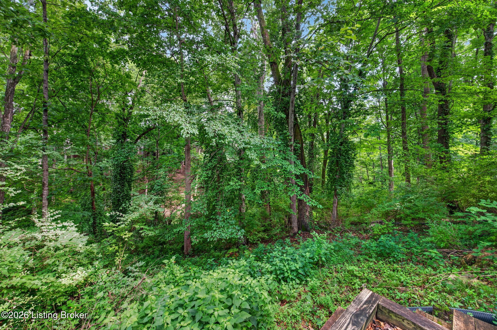 8800 Wooded Trail Ct Property Photo 52