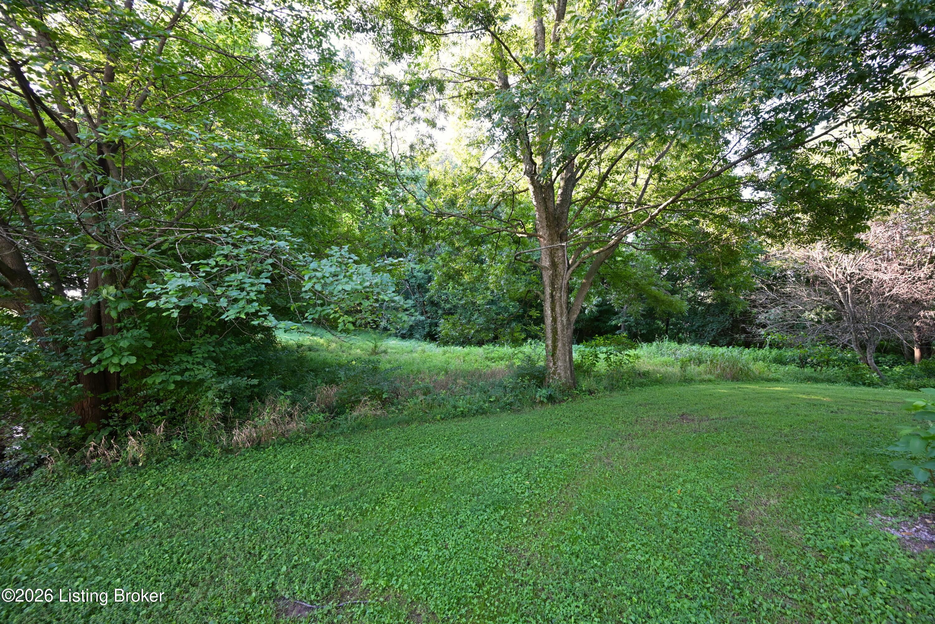 290 Hochstrasser Rd Property Photo 26