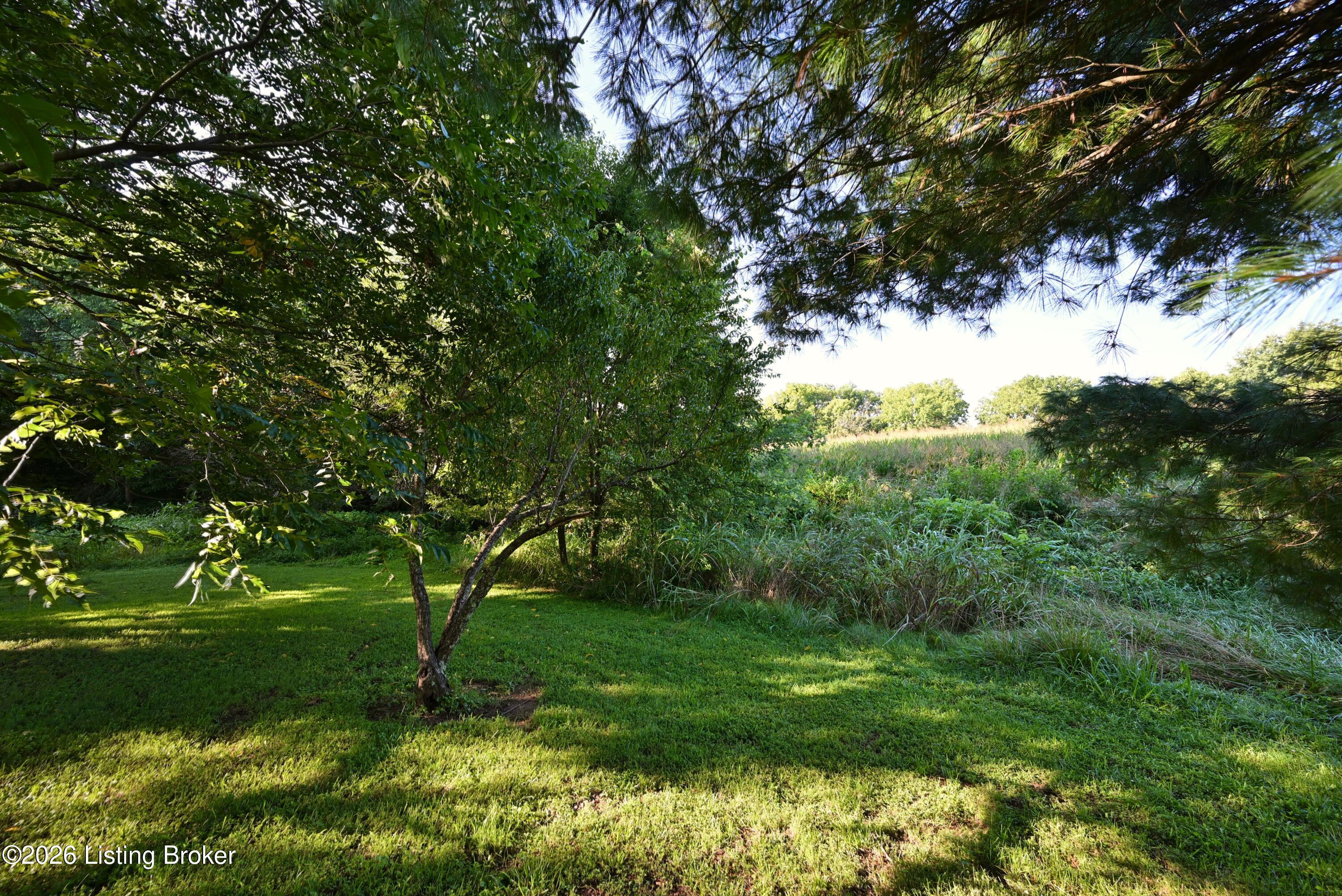 290 Hochstrasser Rd Property Photo 27