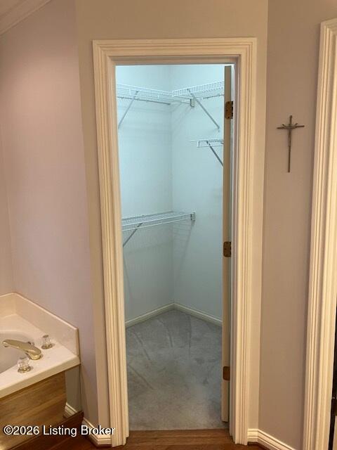 4207 Bryant Park Dr Property Photo 37