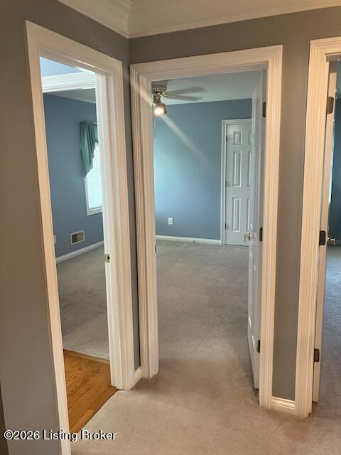 4207 Bryant Park Dr Property Photo 44