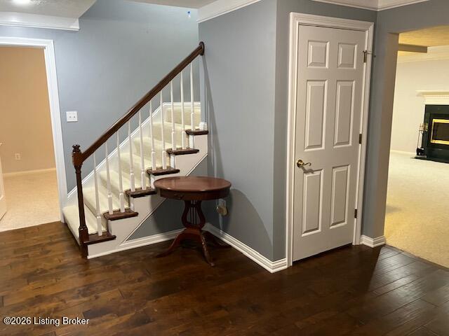 4207 Bryant Park Dr Property Photo 64