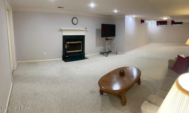 4207 Bryant Park Dr Property Photo 66