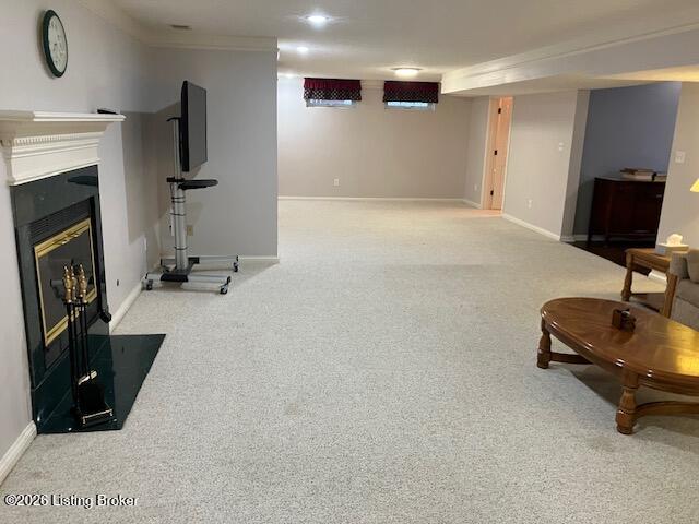 4207 Bryant Park Dr Property Photo 67
