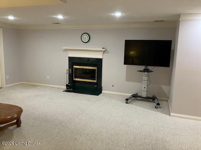 4207 Bryant Park Dr Property Photo 68