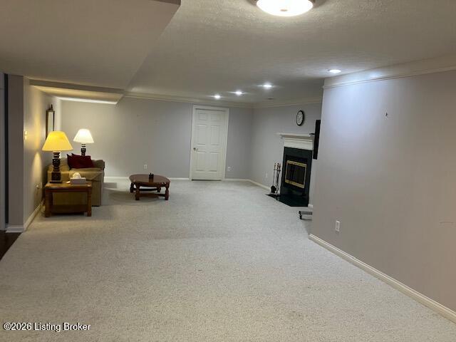 4207 Bryant Park Dr Property Photo 69