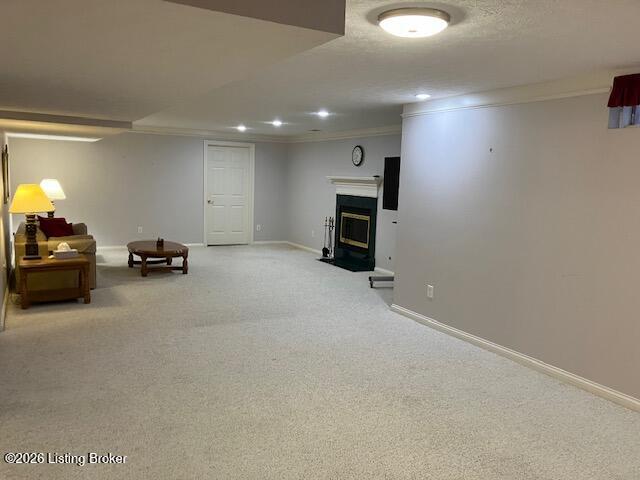 4207 Bryant Park Dr Property Photo 70