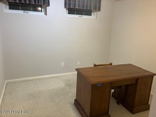 4207 Bryant Park Dr Property Photo 76