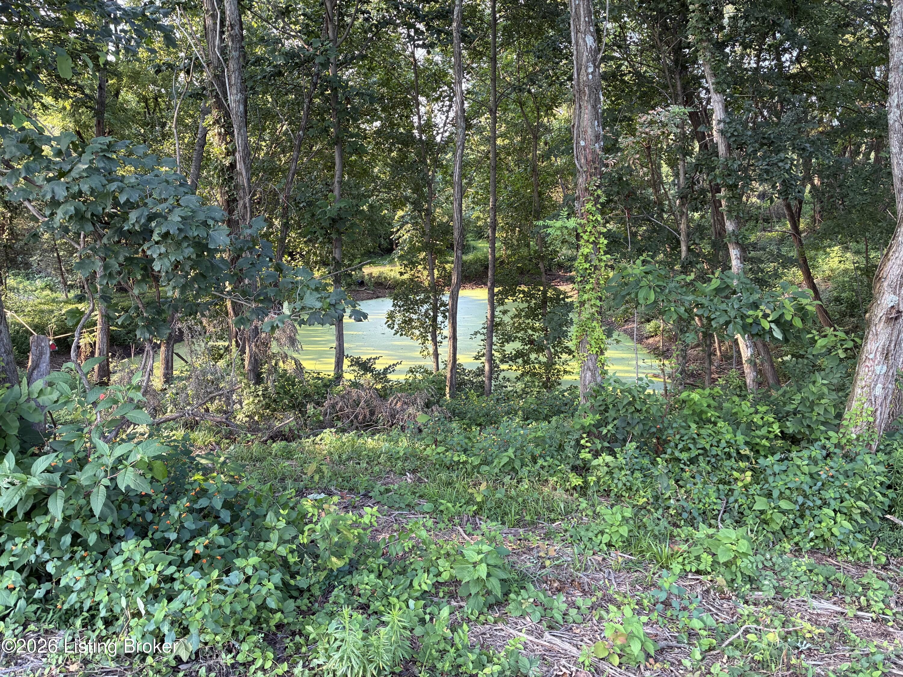 000 Button Ridge Rd Property Photo 4