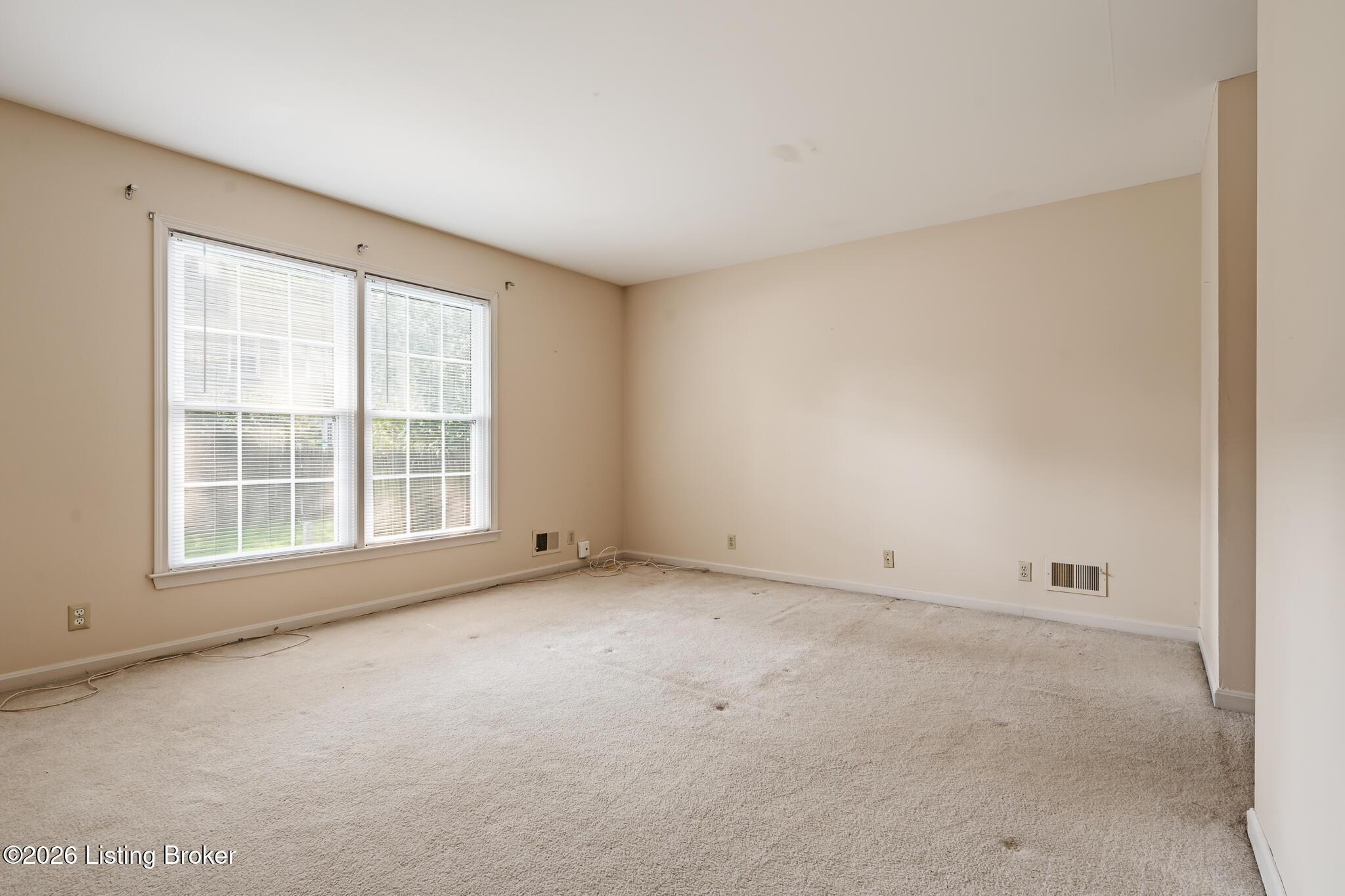 1029 Burning Springs Cir Property Photo 20