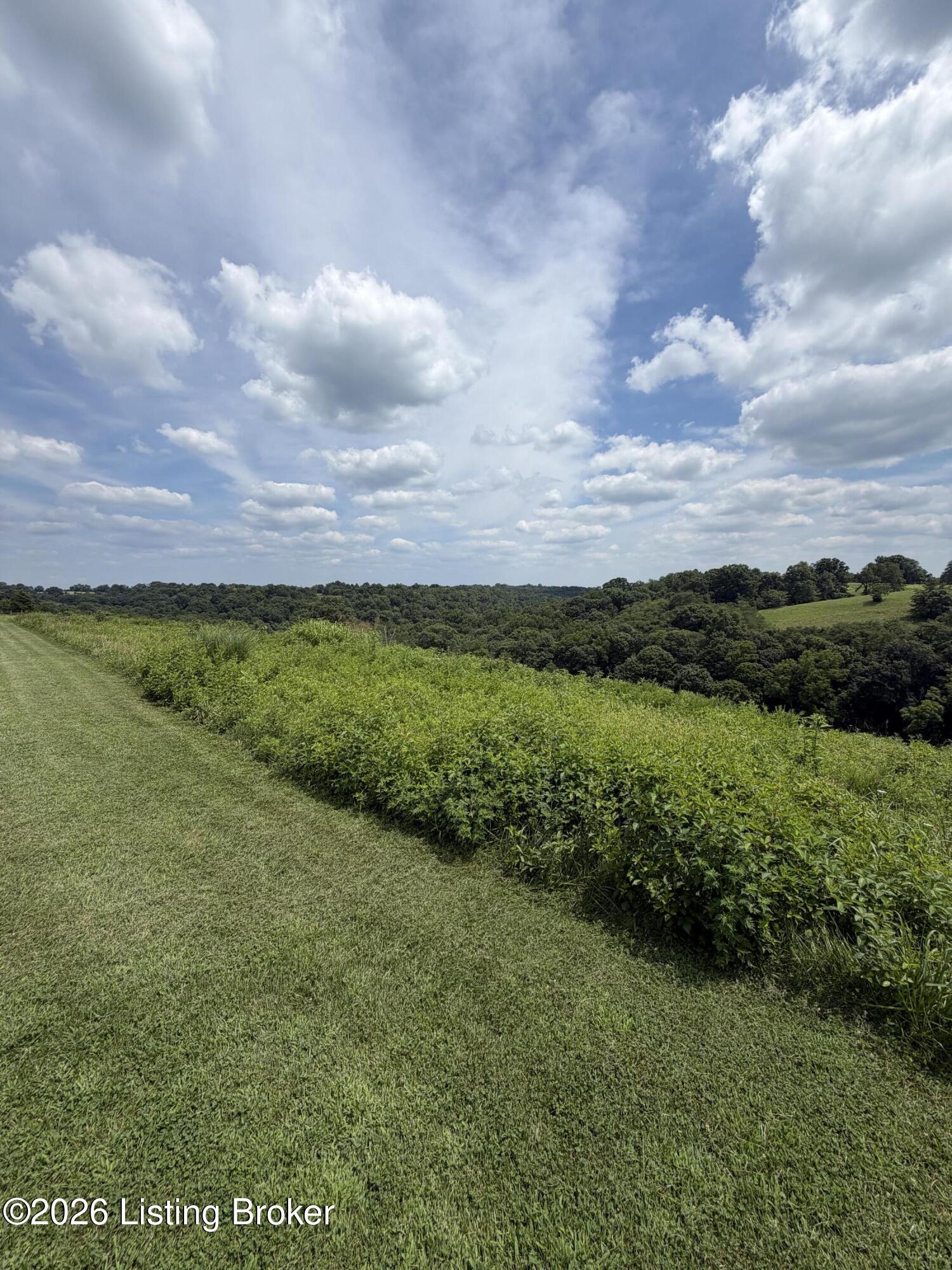 10401 Bethlehem Rd Property Photo 4