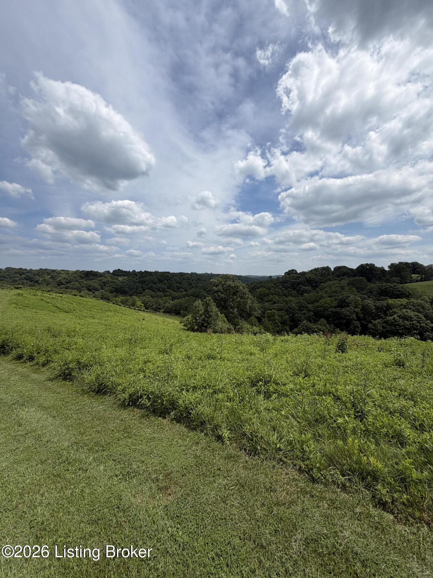 10401 Bethlehem Rd Property Photo 6
