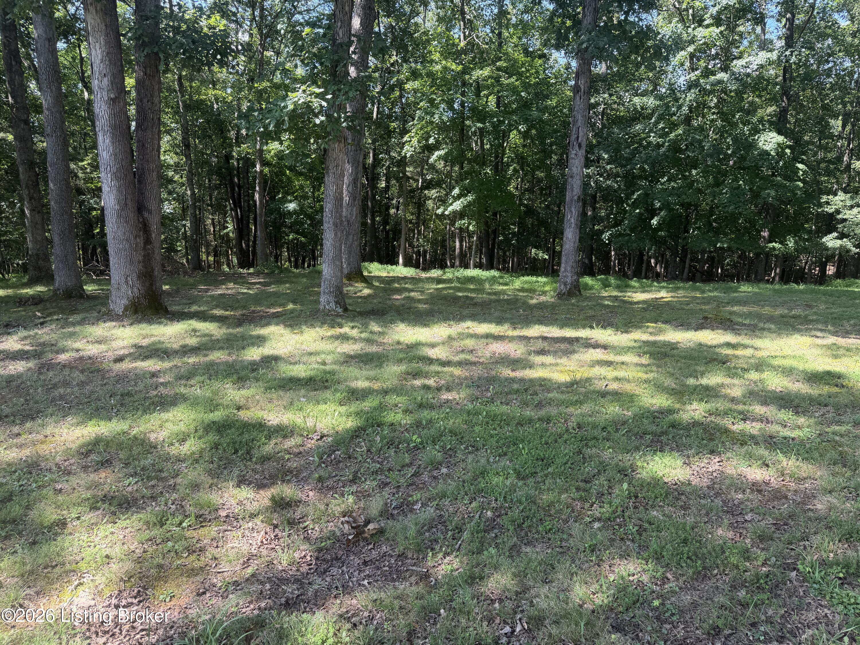 590 Lakeshore Pkwy Property Photo 57