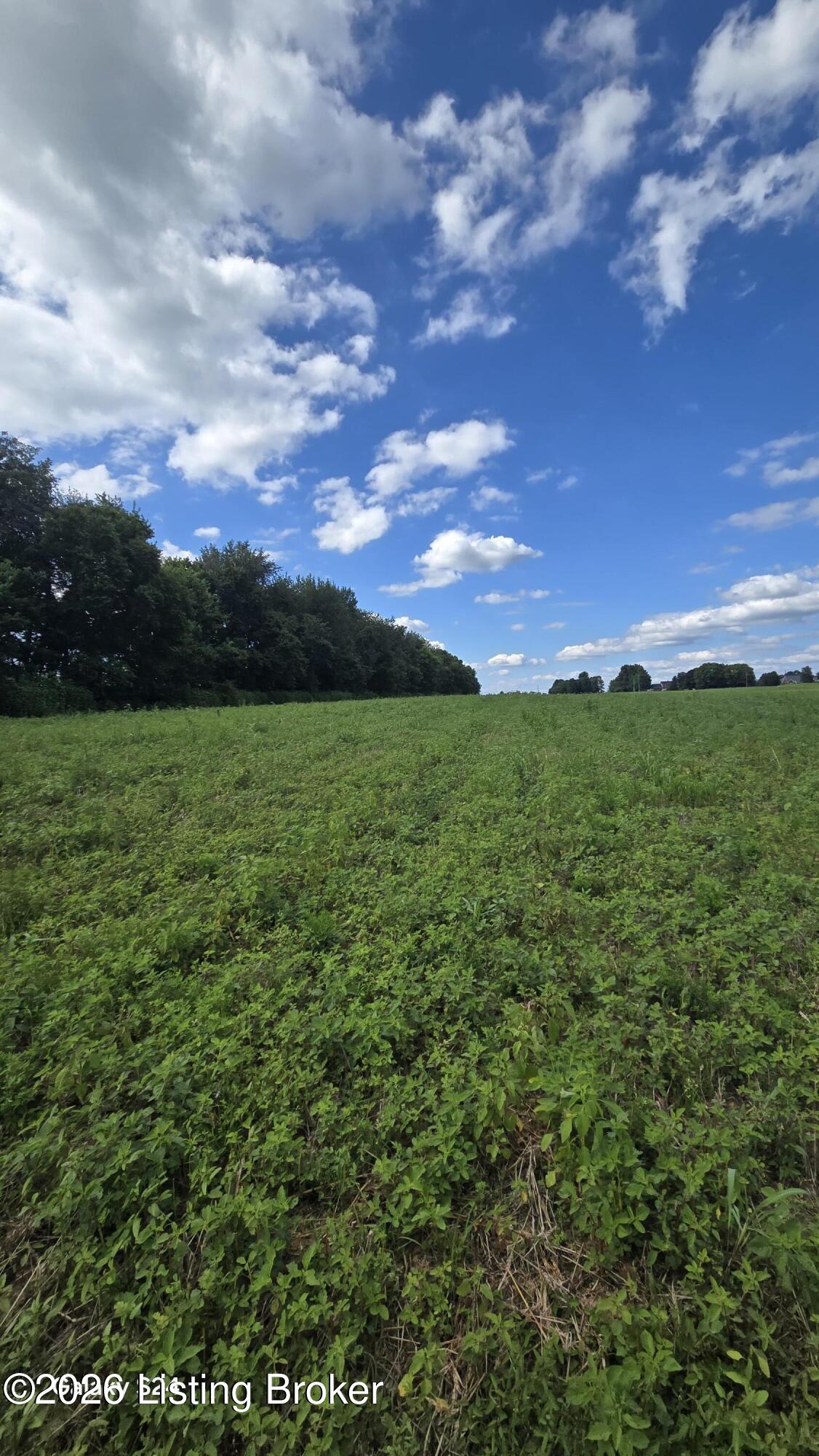 Tract 5 Bagdad Rd Property Photo 3