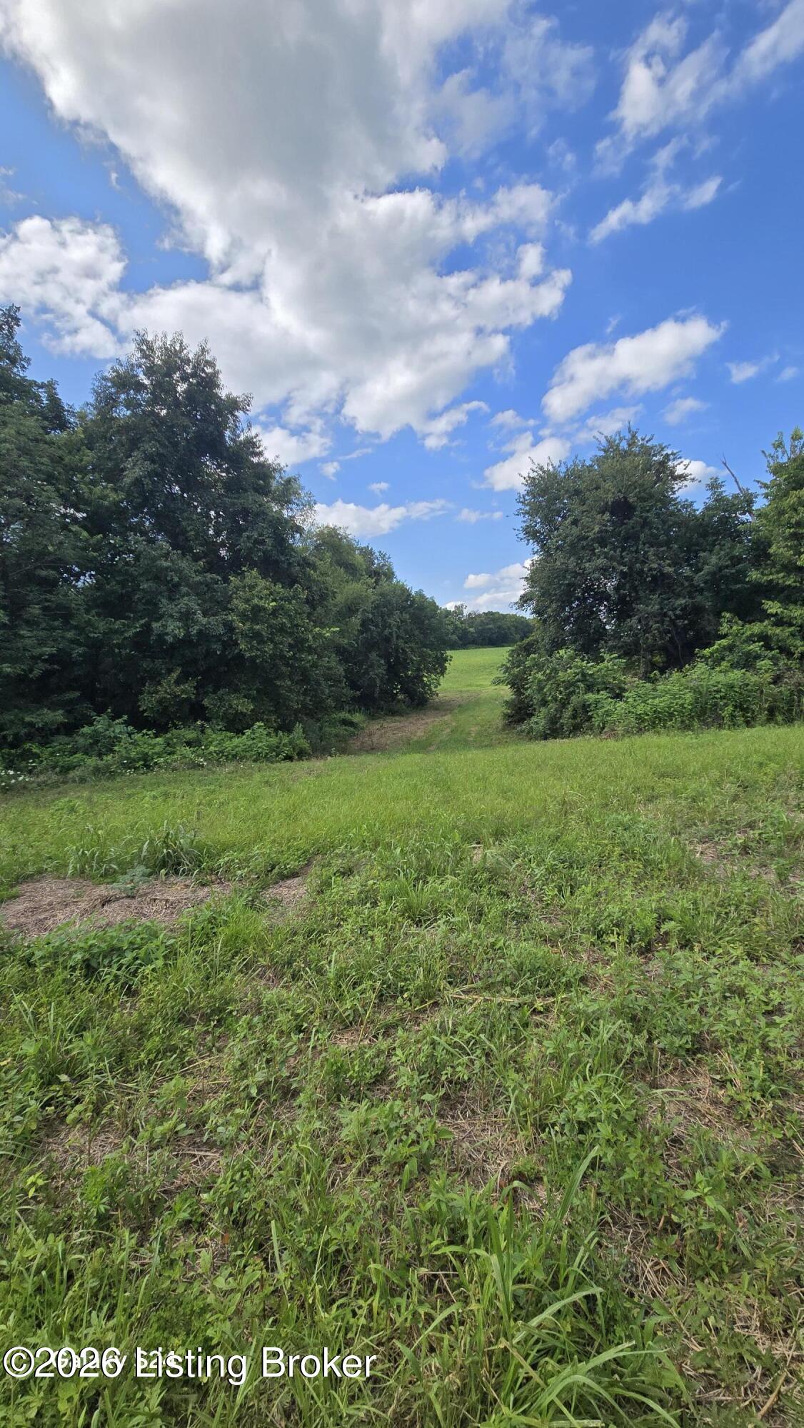 Tract 5 Bagdad Rd Property Photo 5