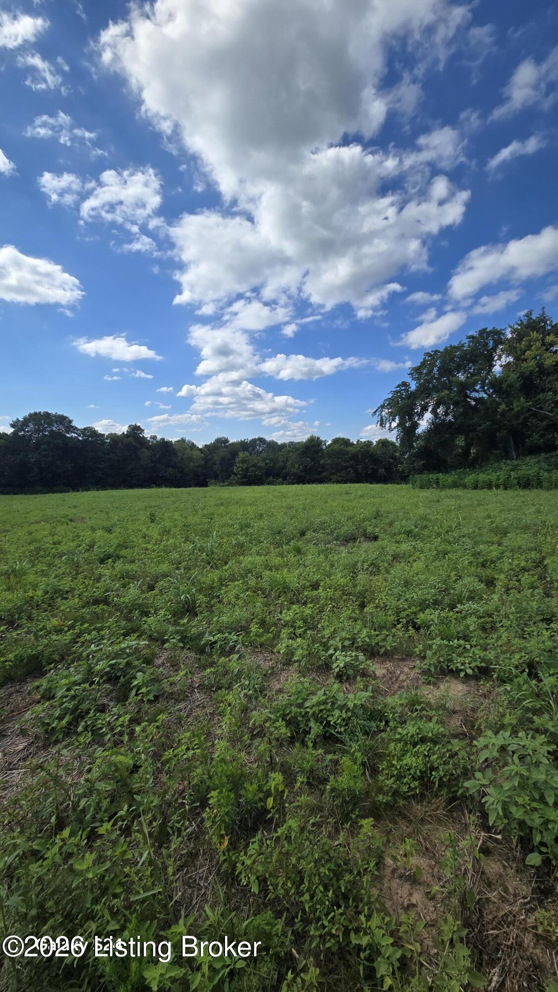 Tract 5 Bagdad Rd Property Photo 6