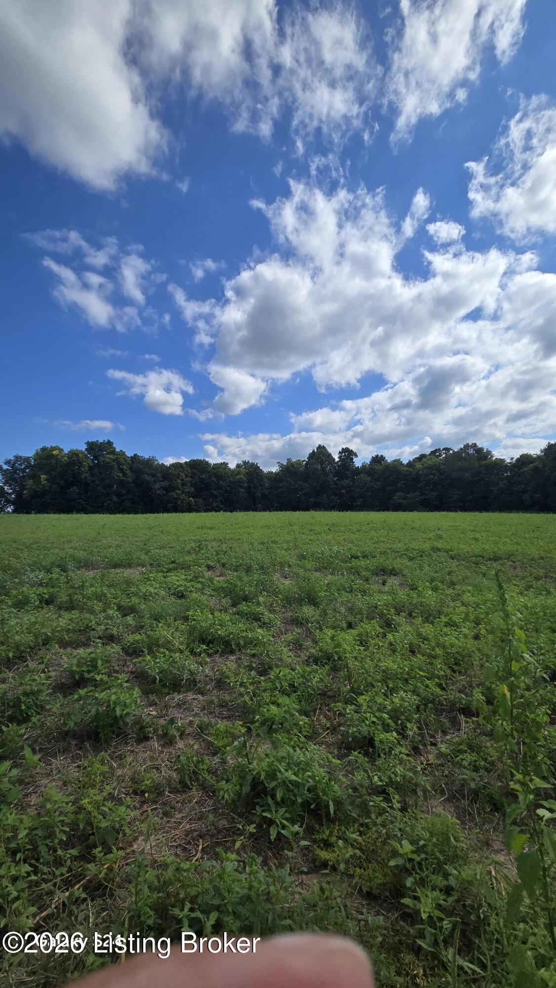 Tract 5 Bagdad Rd Property Photo 7