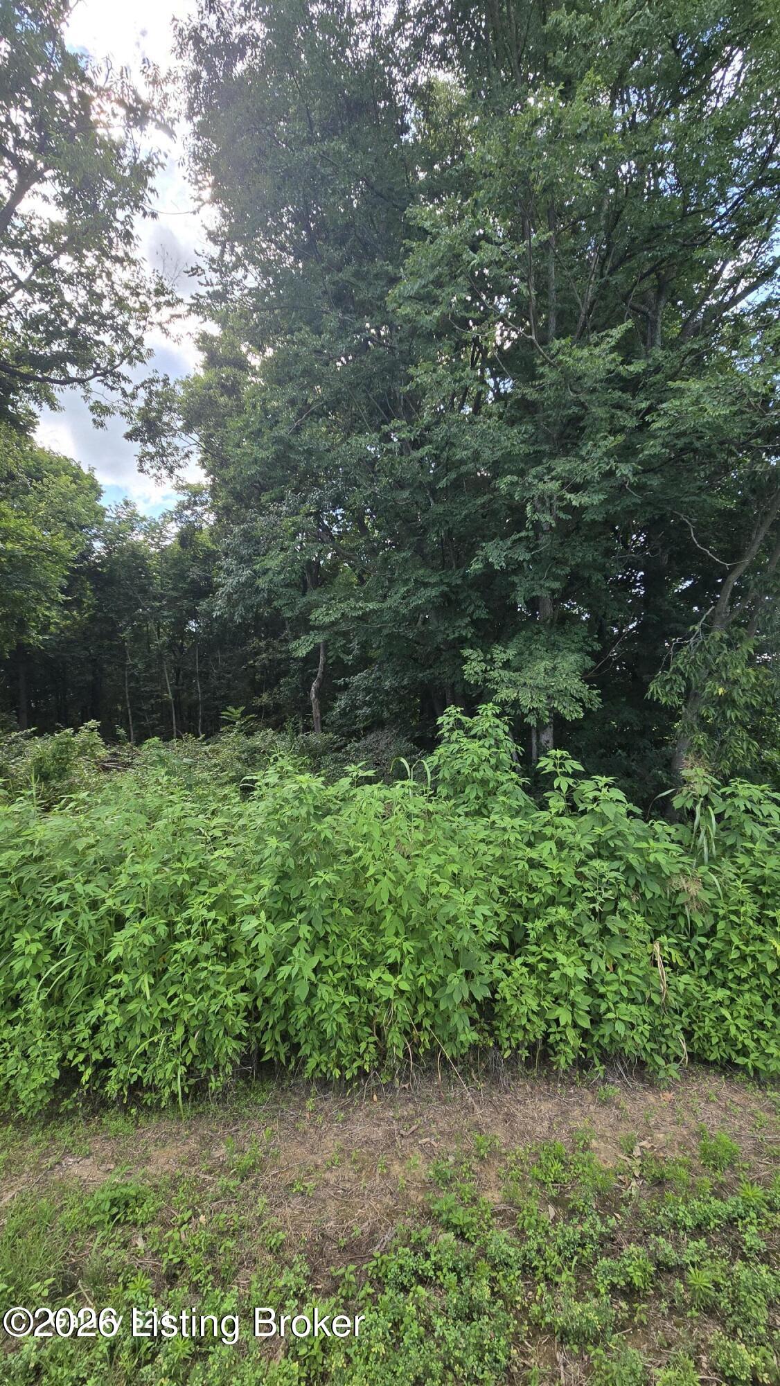 Tract 5 Bagdad Rd Property Photo 8