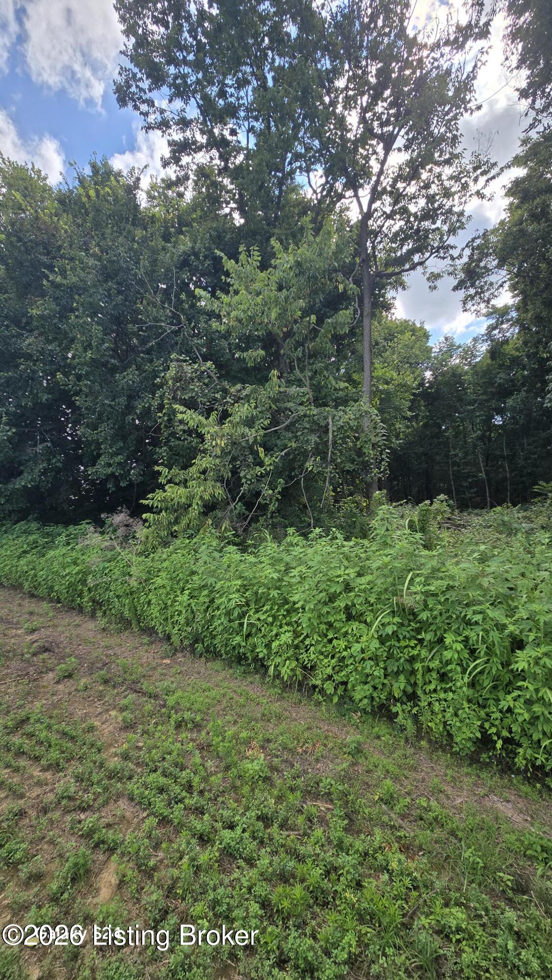Tract 5 Bagdad Rd Property Photo 9