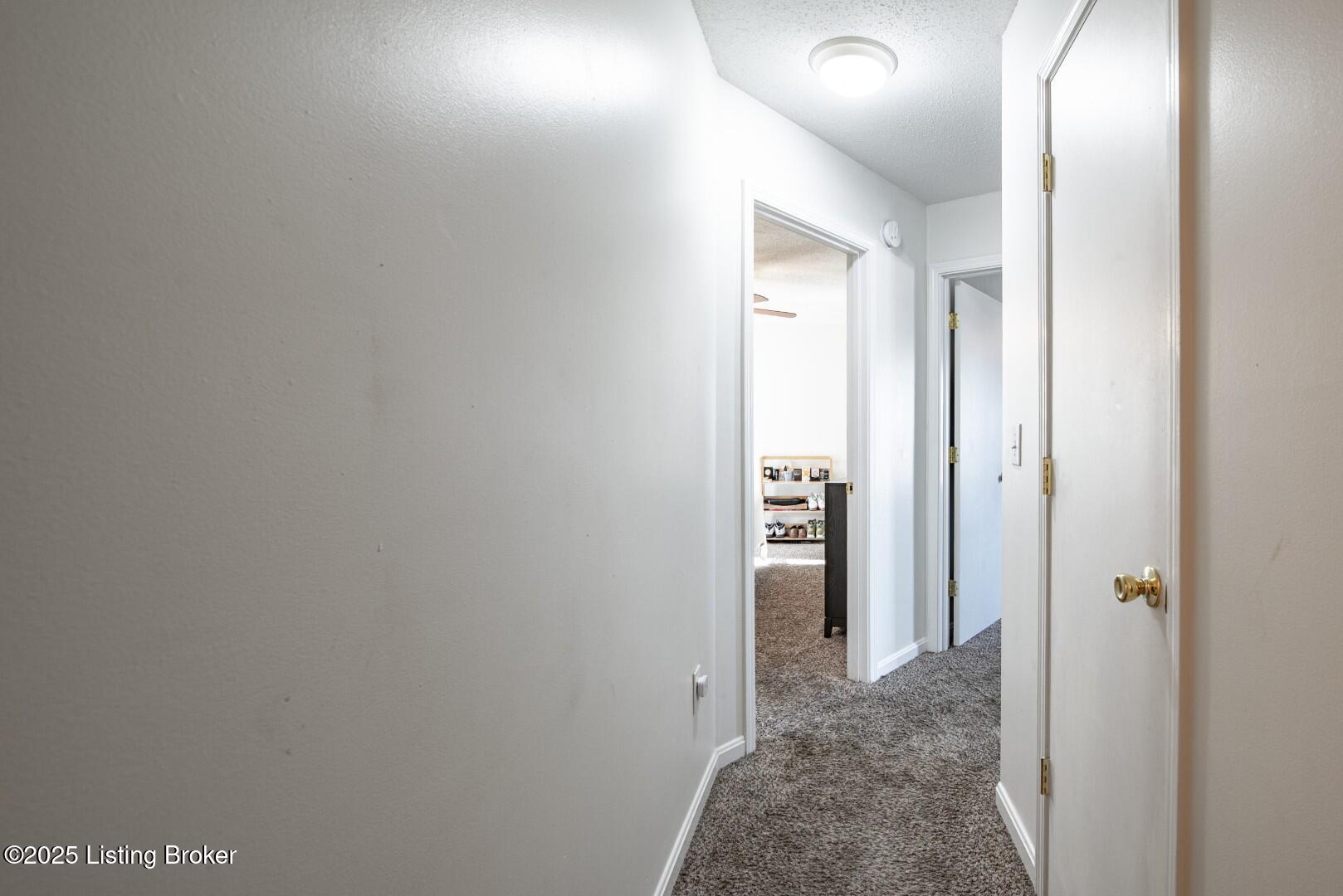 1226 Eastern St Property Photo 19