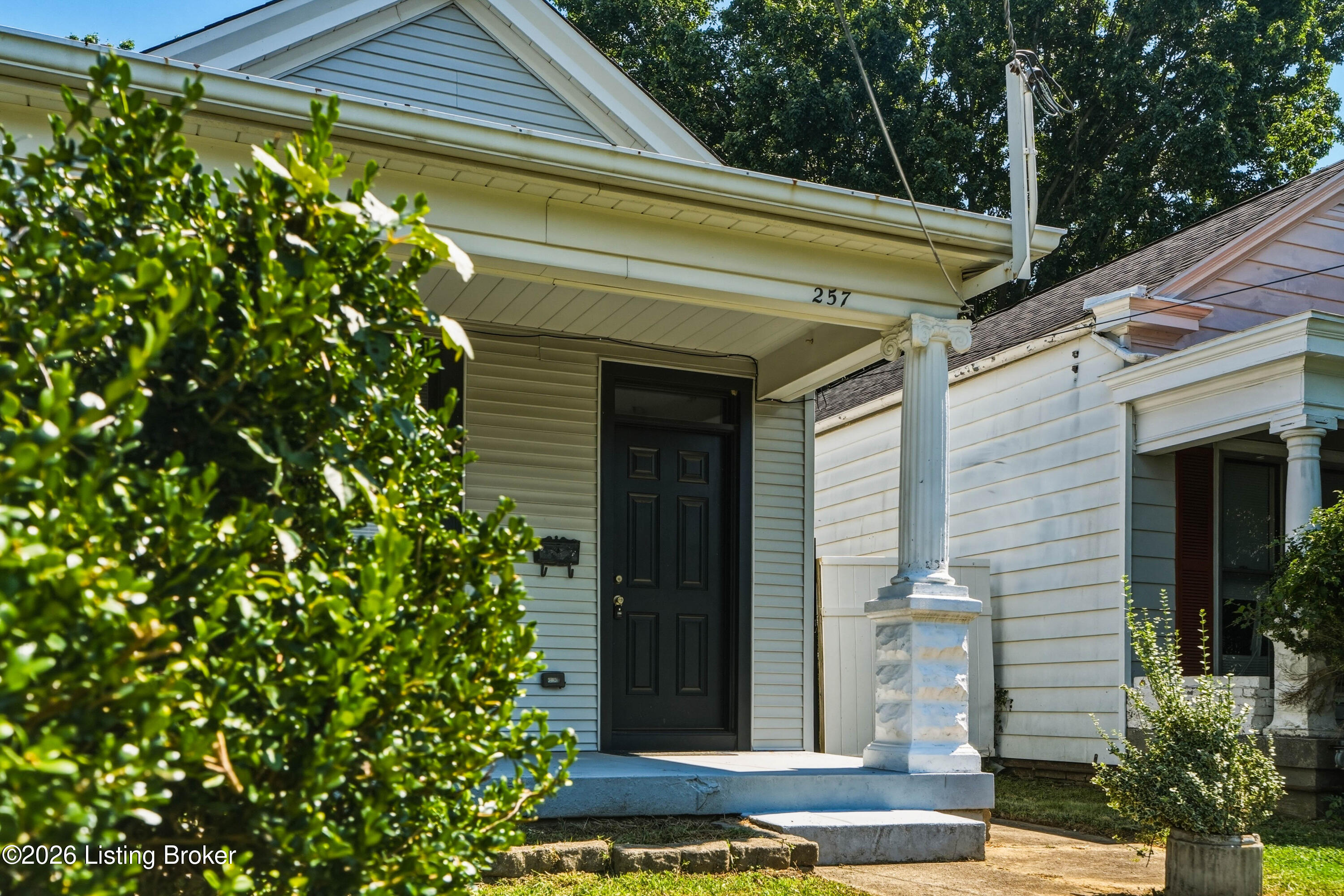 257 Delmont Ave Property Photo 3