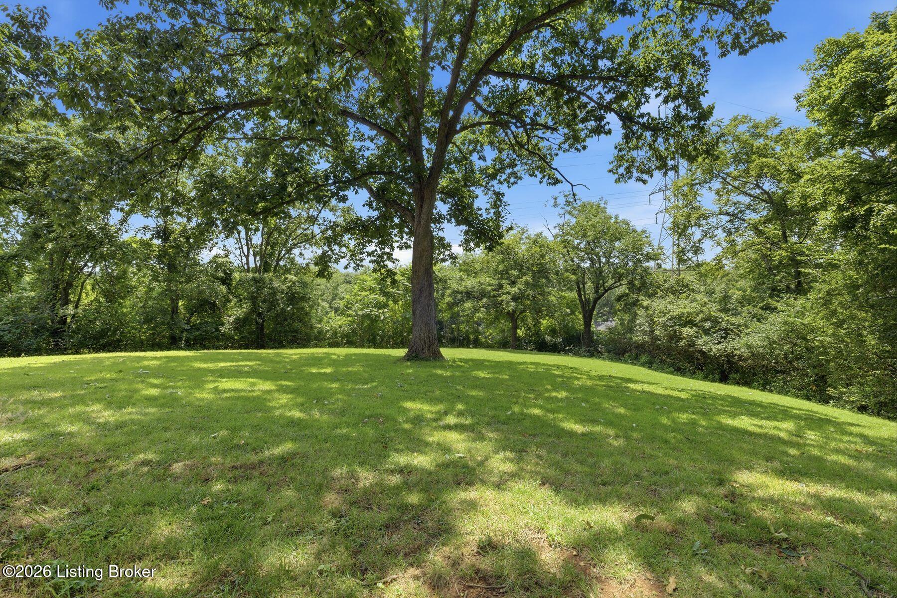 4319 Comanche Trail Property Photo 28