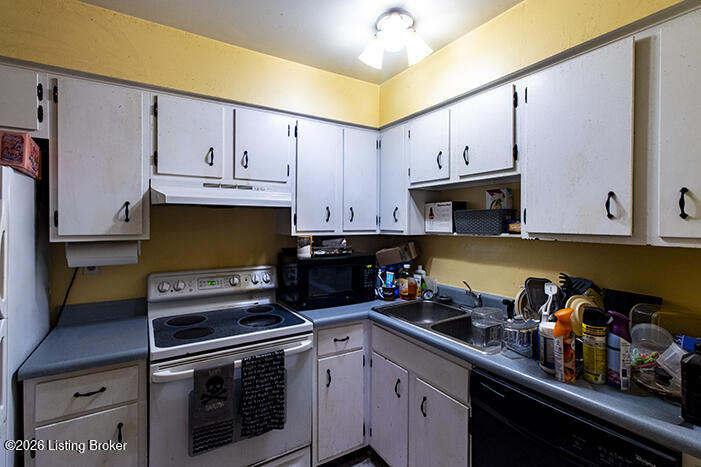 503 Logsdon Ct Property Photo 12