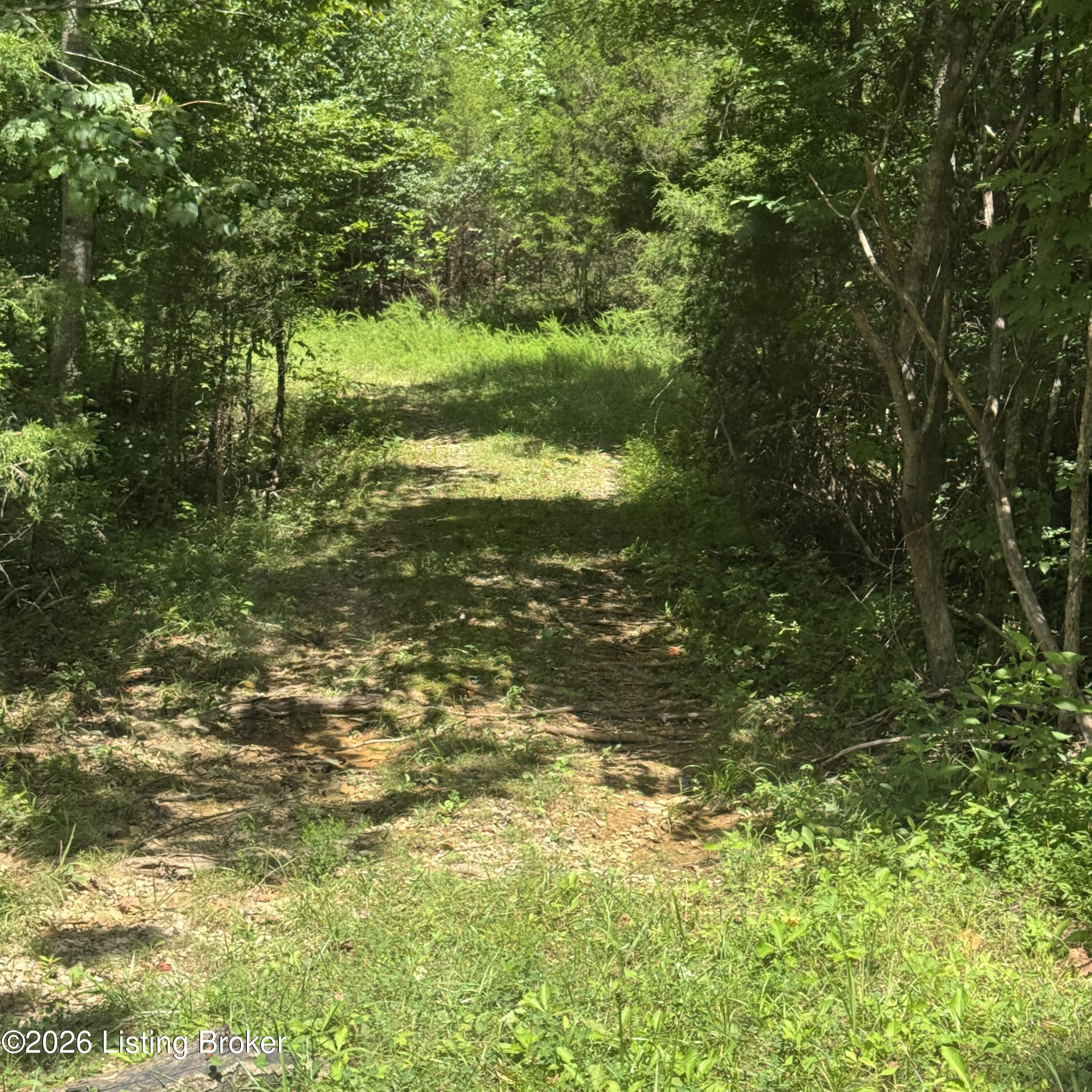 89 Taylor Fork Rd Property Photo 7