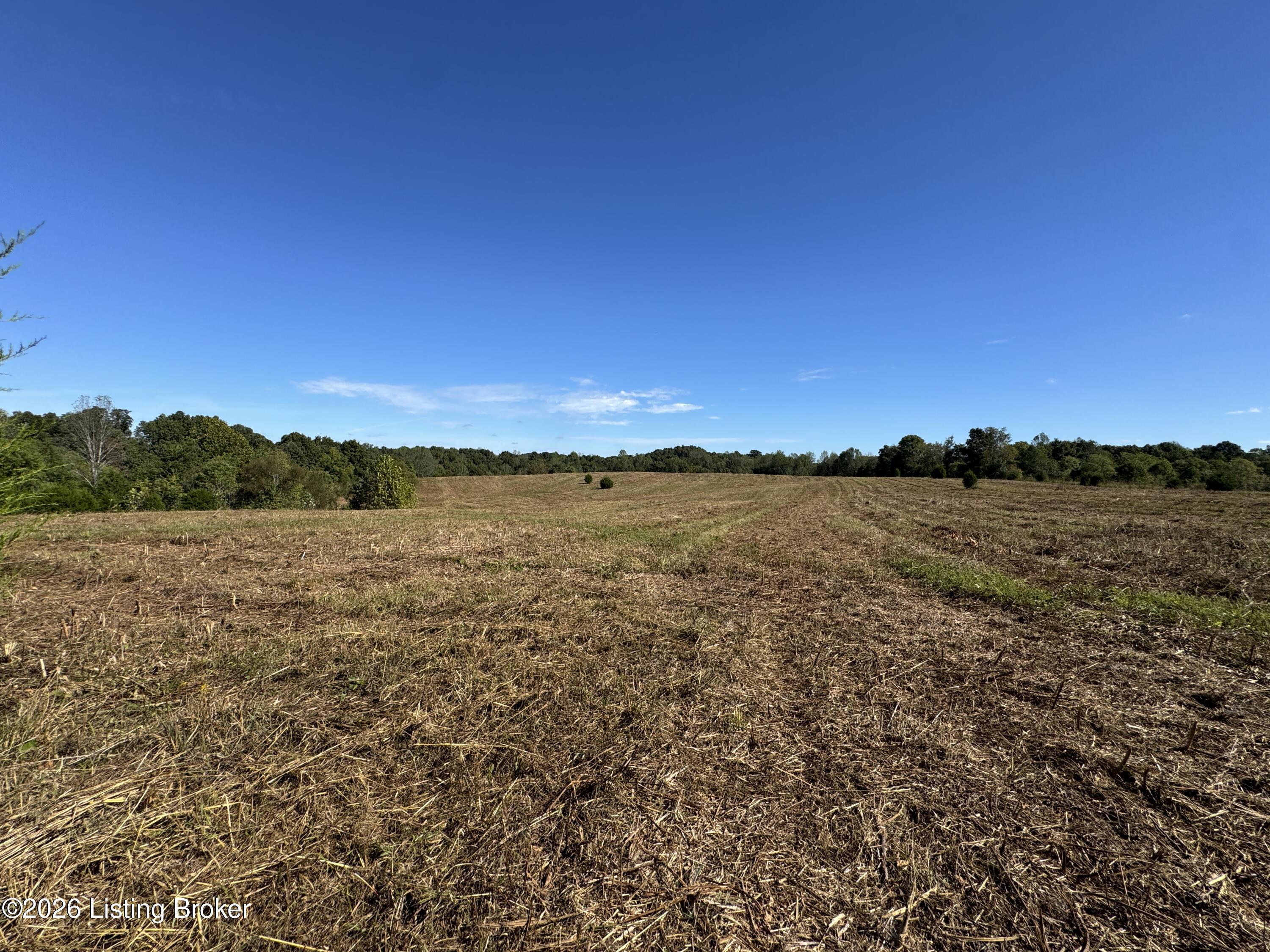 89 Taylor Fork Rd Property Photo 23
