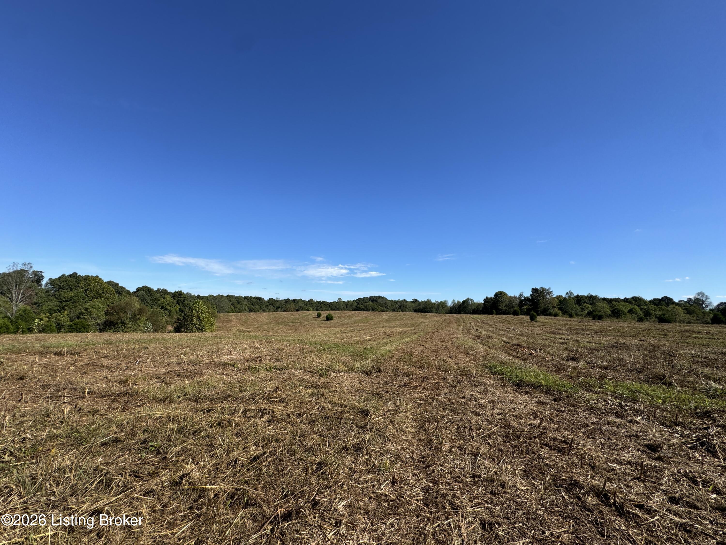 89 Taylor Fork Rd Property Photo 24