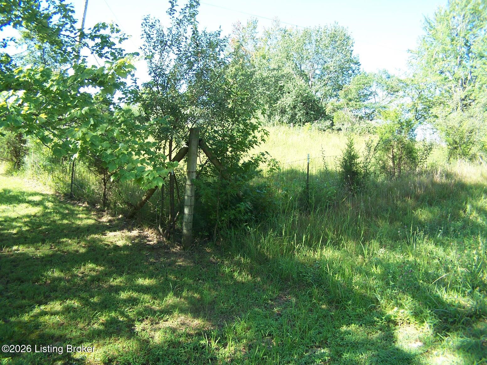 0 Anna Sandhill Rd Property Photo 3