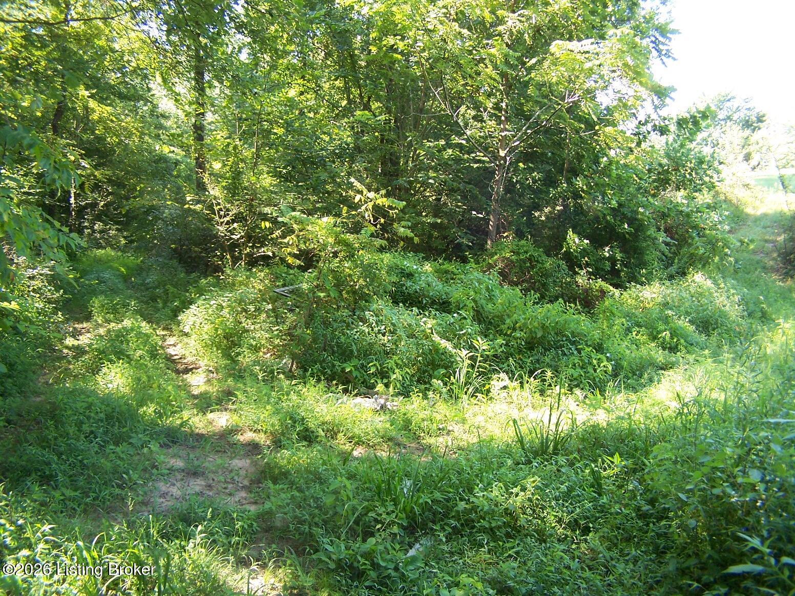 0 Anna Sandhill Rd Property Photo 4
