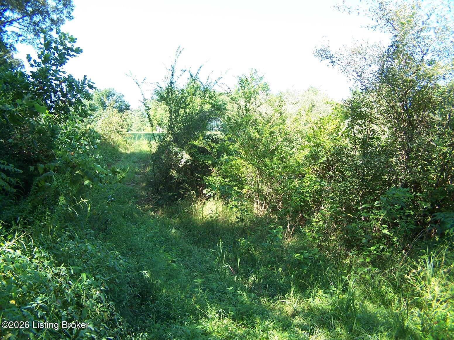 0 Anna Sandhill Rd Property Photo 5