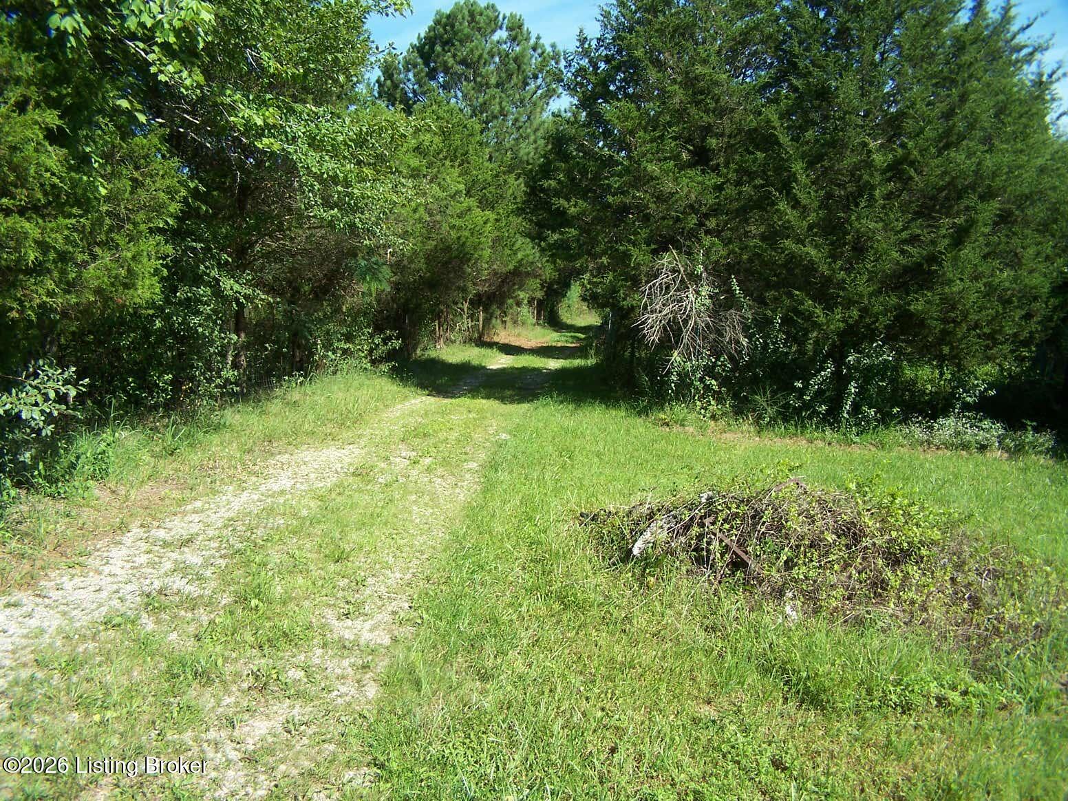 0 Anna Sandhill Rd Property Photo 12