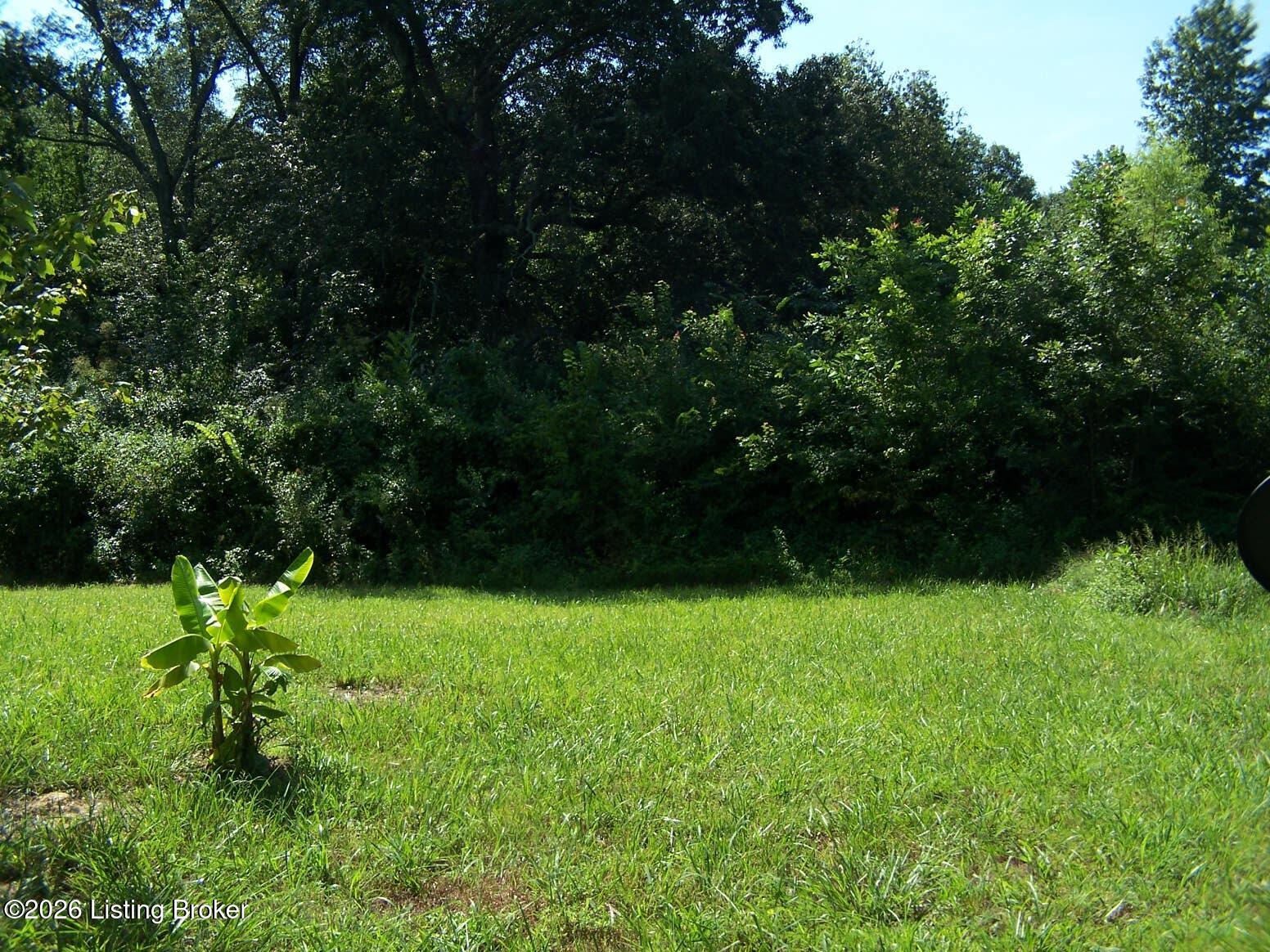 0 Anna Sandhill Rd Property Photo 13