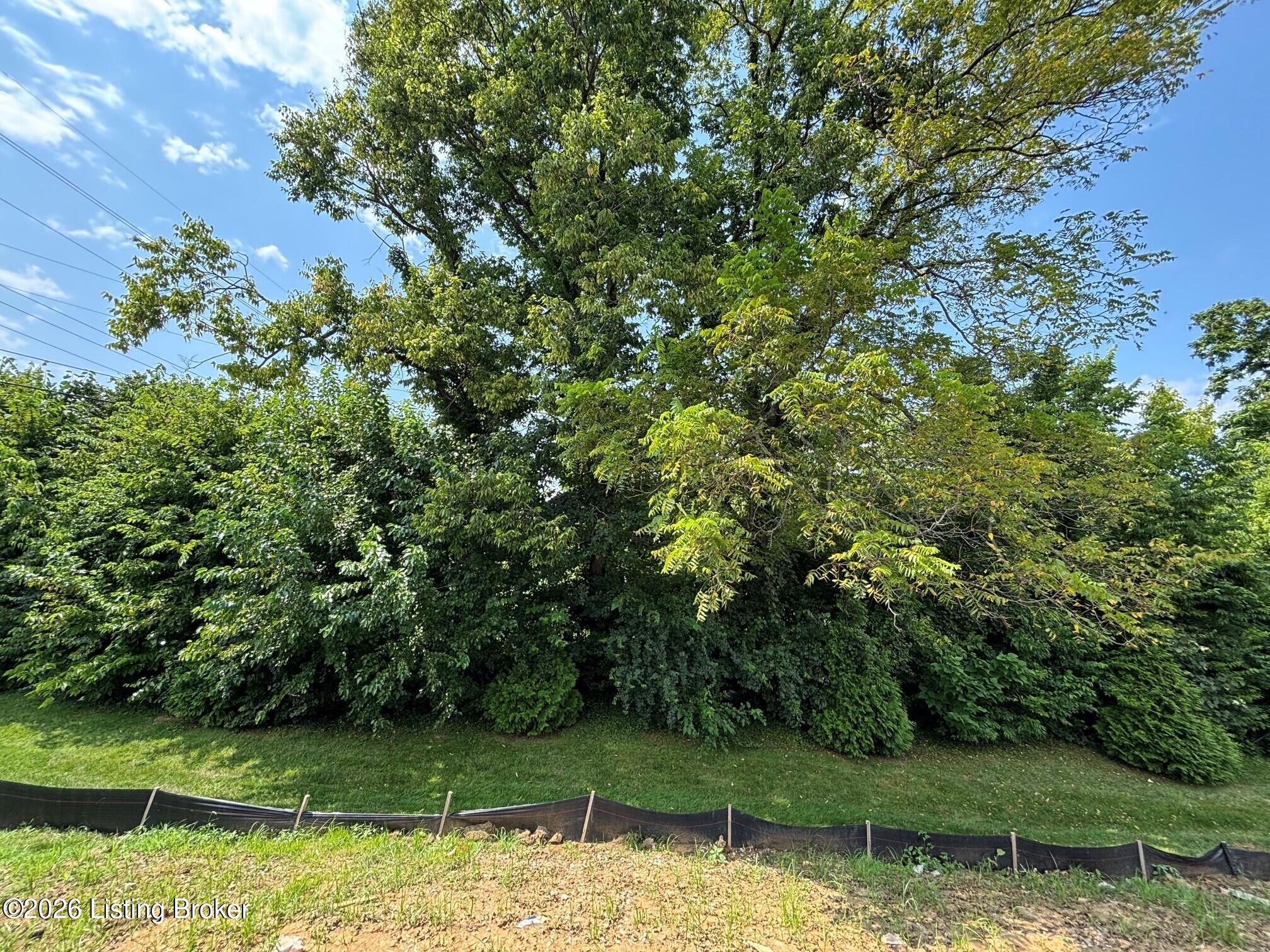 103 Ardmore Crossing Dr Property Photo 11