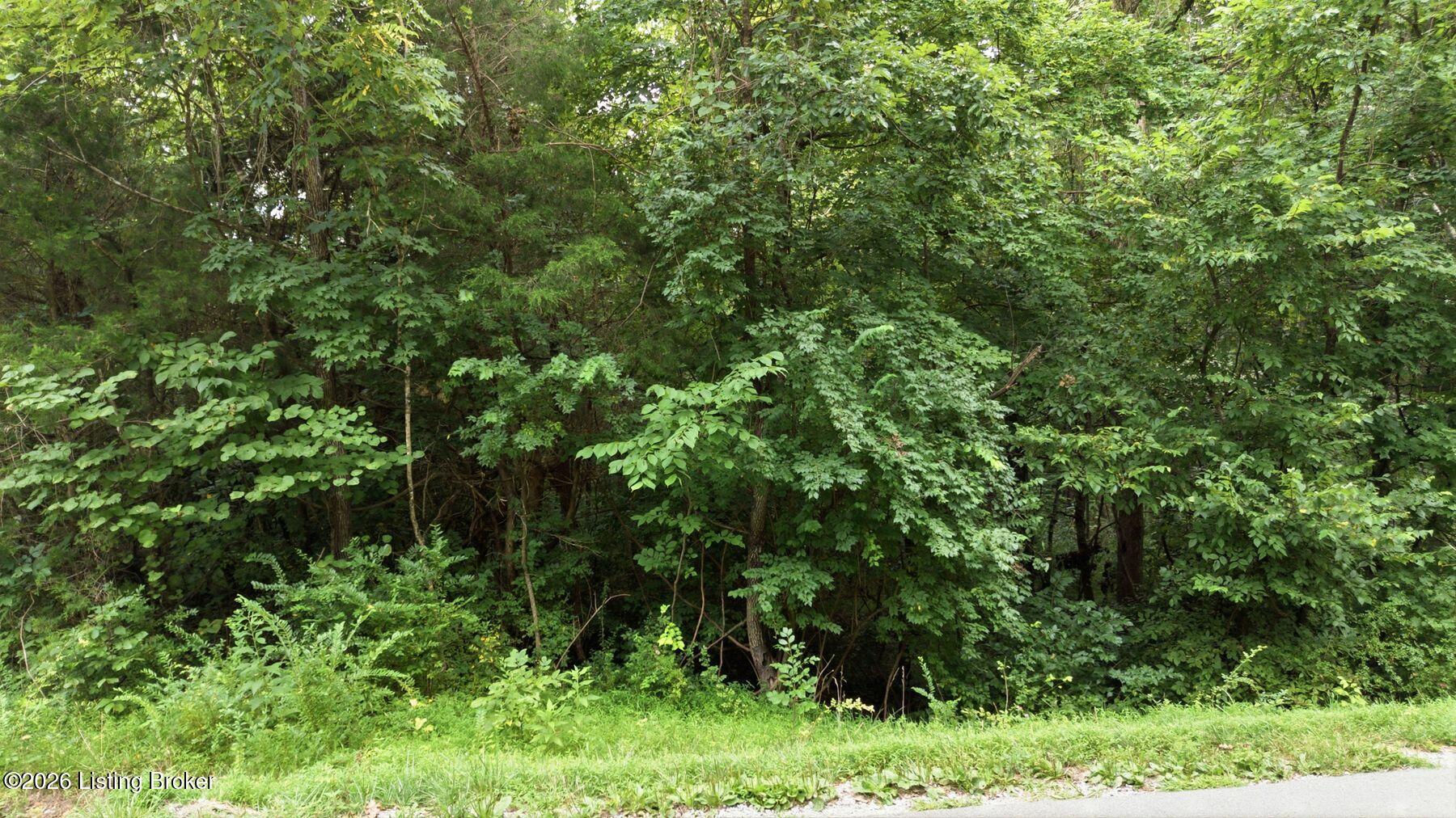 2540 Jim Clark Rd Property Photo 1