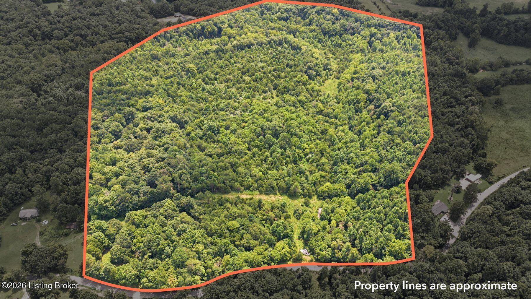 2540 Jim Clark Rd Property Photo 10