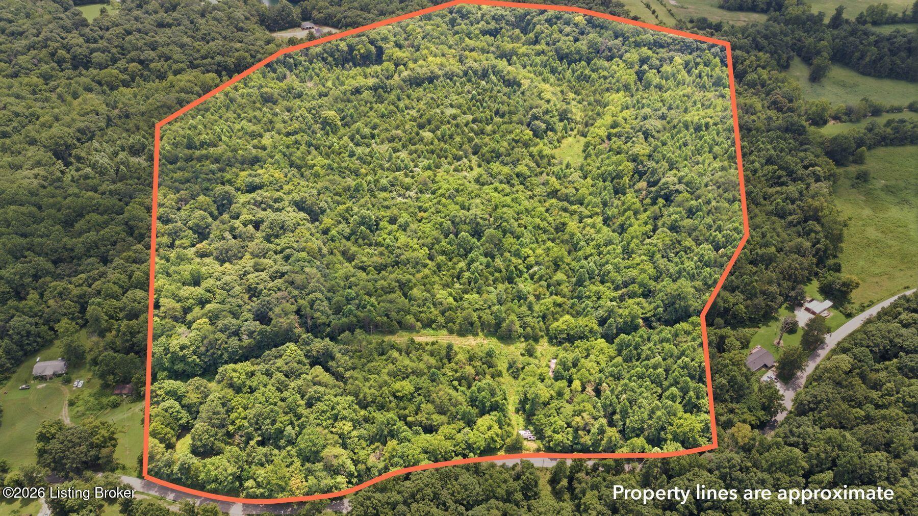 2540 Jim Clark Rd Property Photo 11