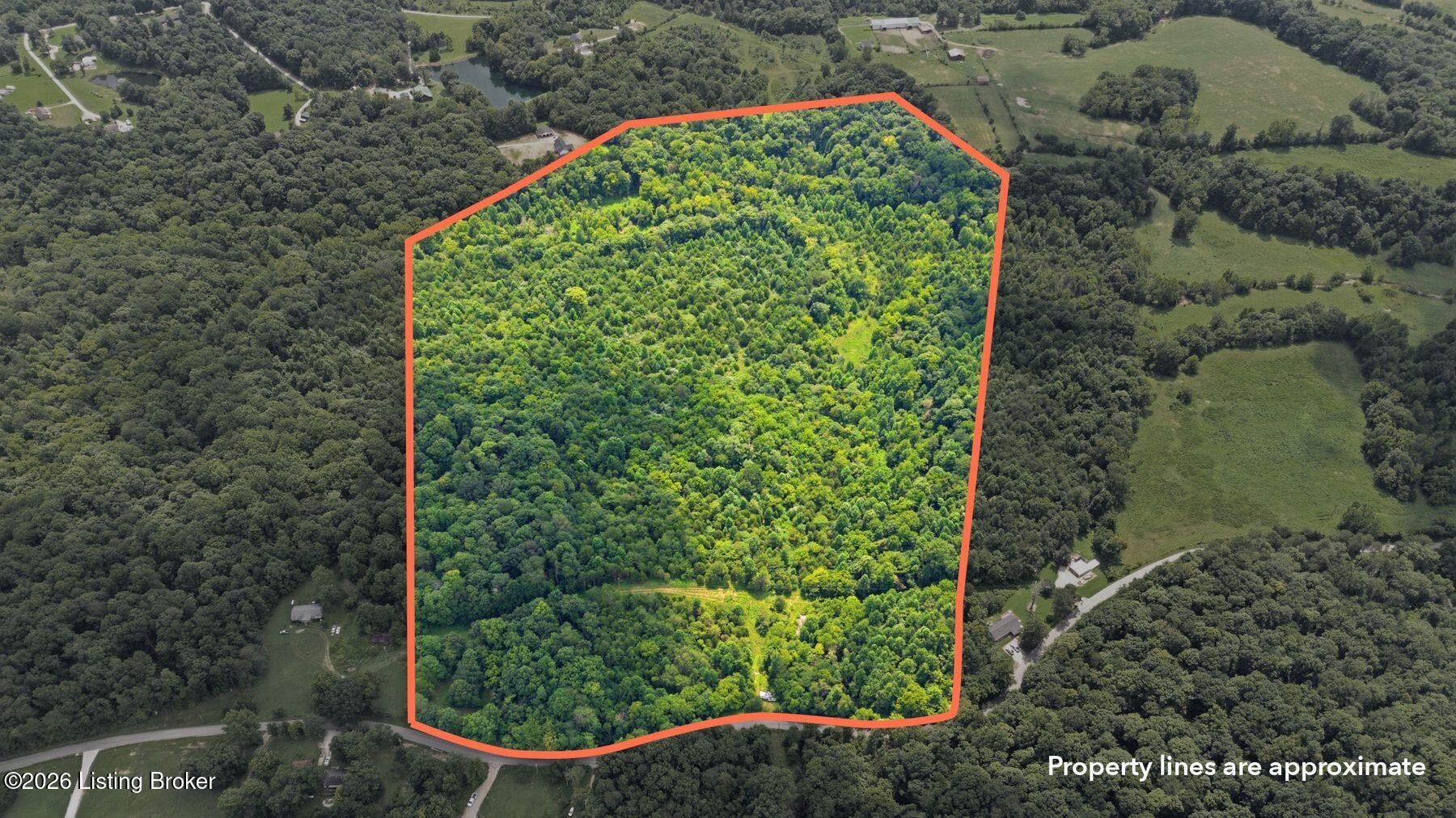 2540 Jim Clark Rd Property Photo 13