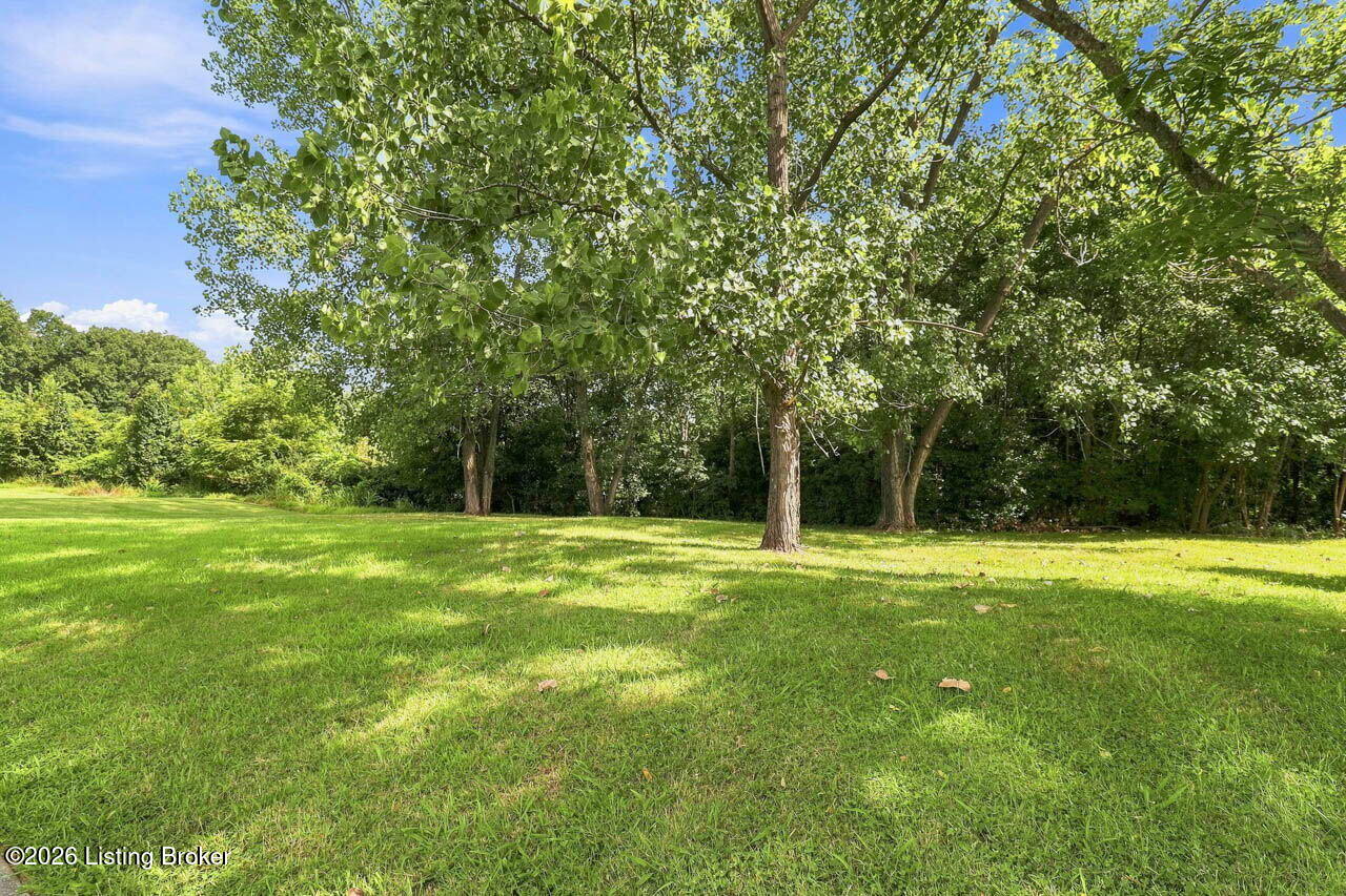 2009 Hillcircle Rd Property Photo 4