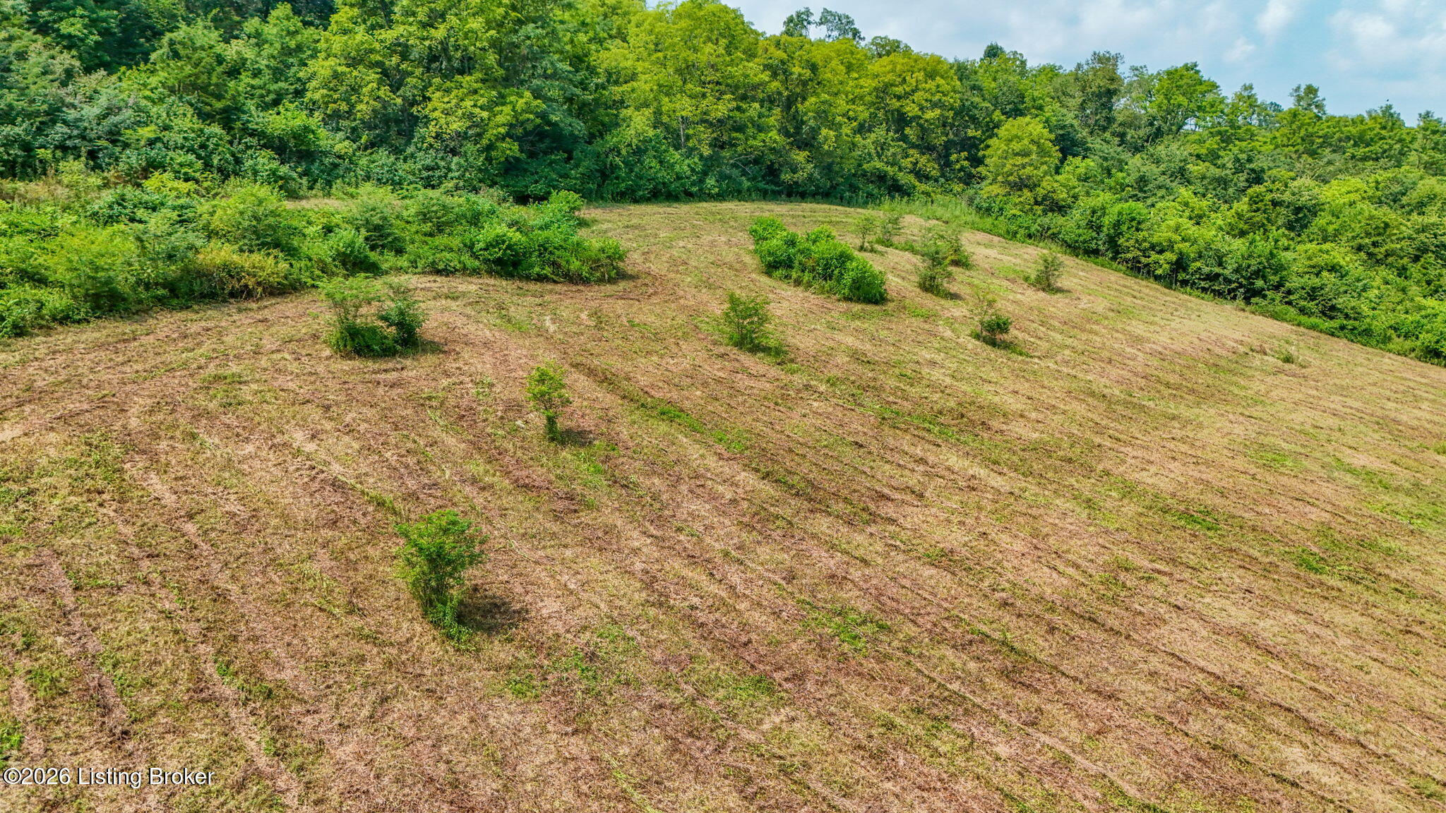 47 Highway Property Photo 25
