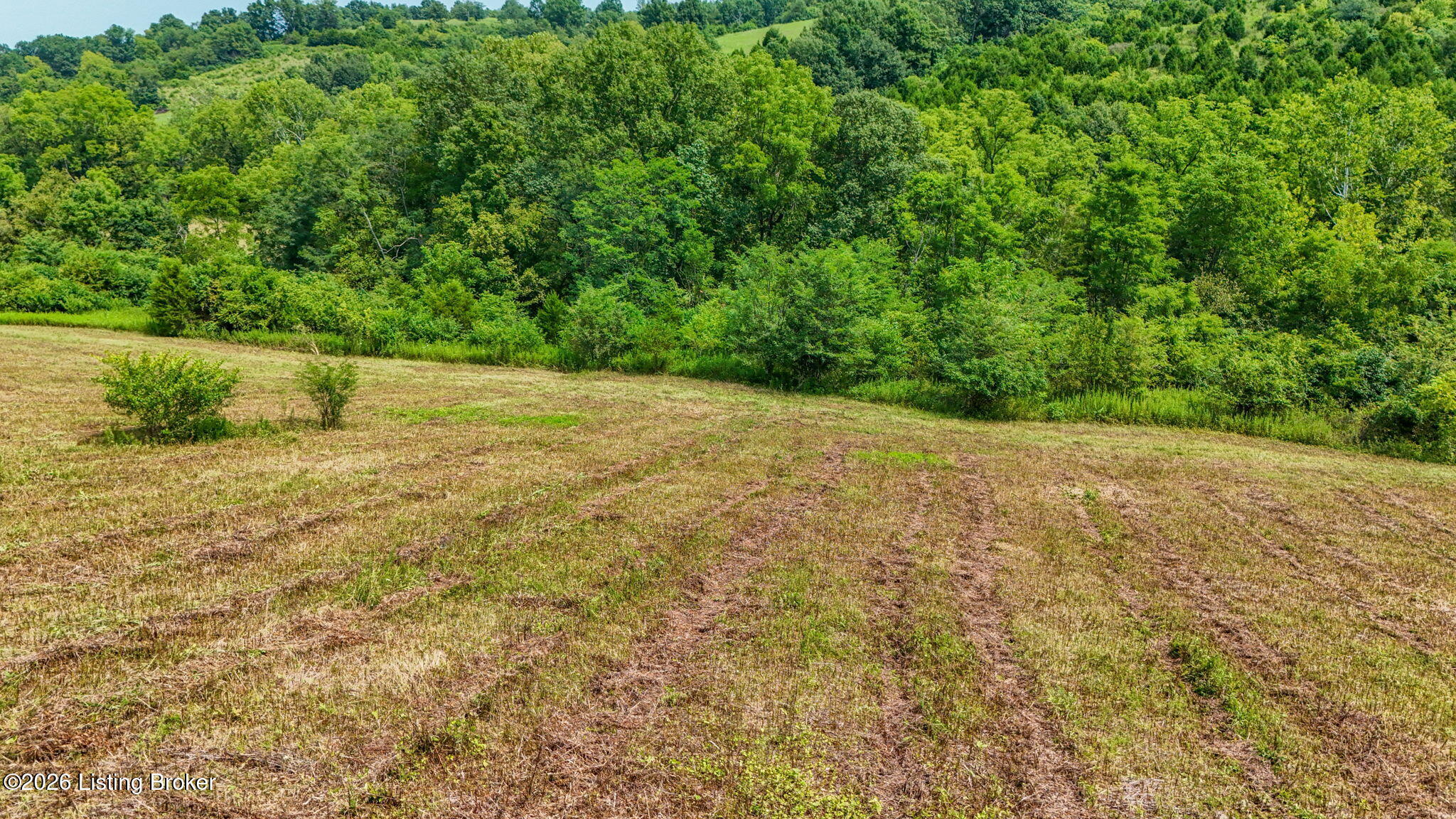 47 Highway Property Photo 27