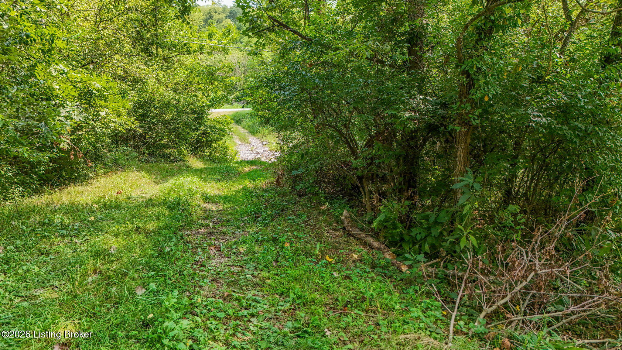 47 Highway Property Photo 36