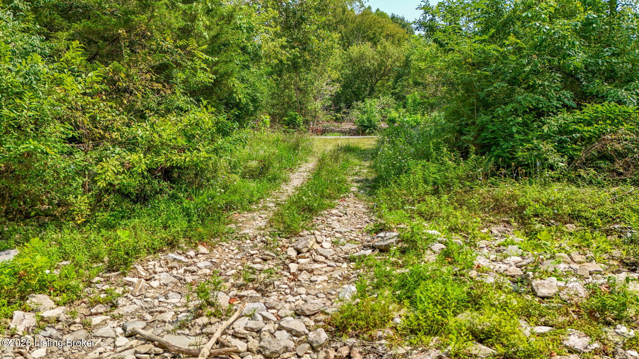 47 Highway Property Photo 39