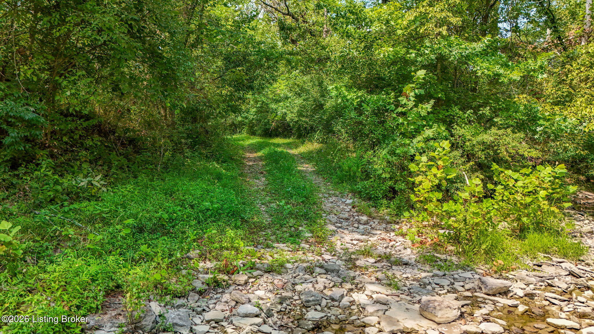 47 Highway Property Photo 41