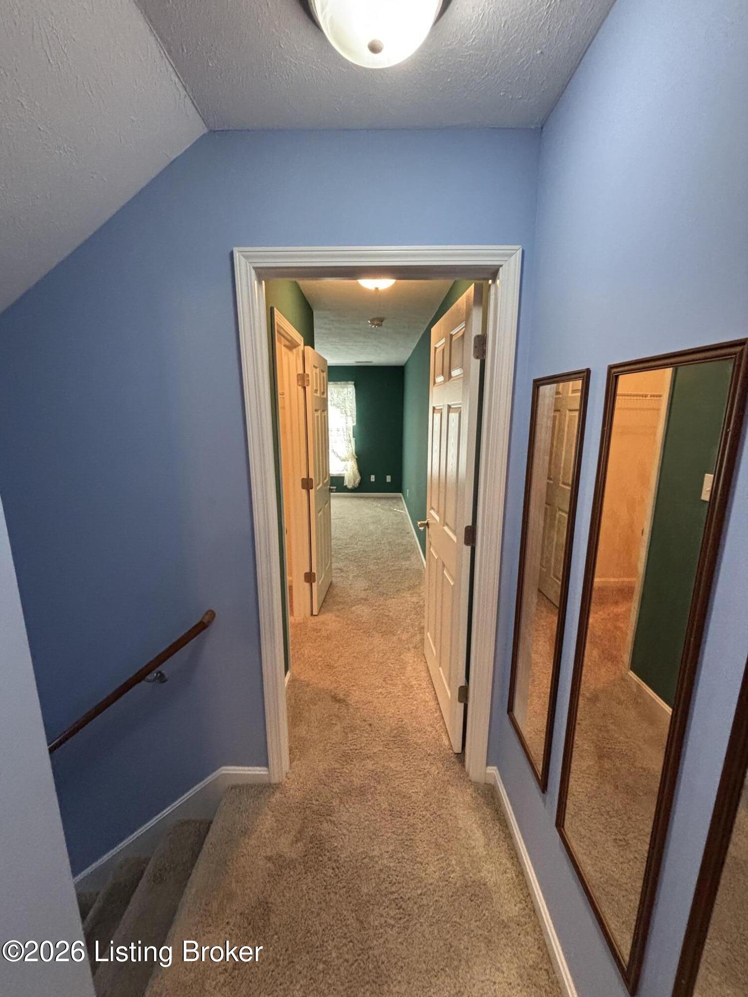 12630 Spring Haven Ct Property Photo 58